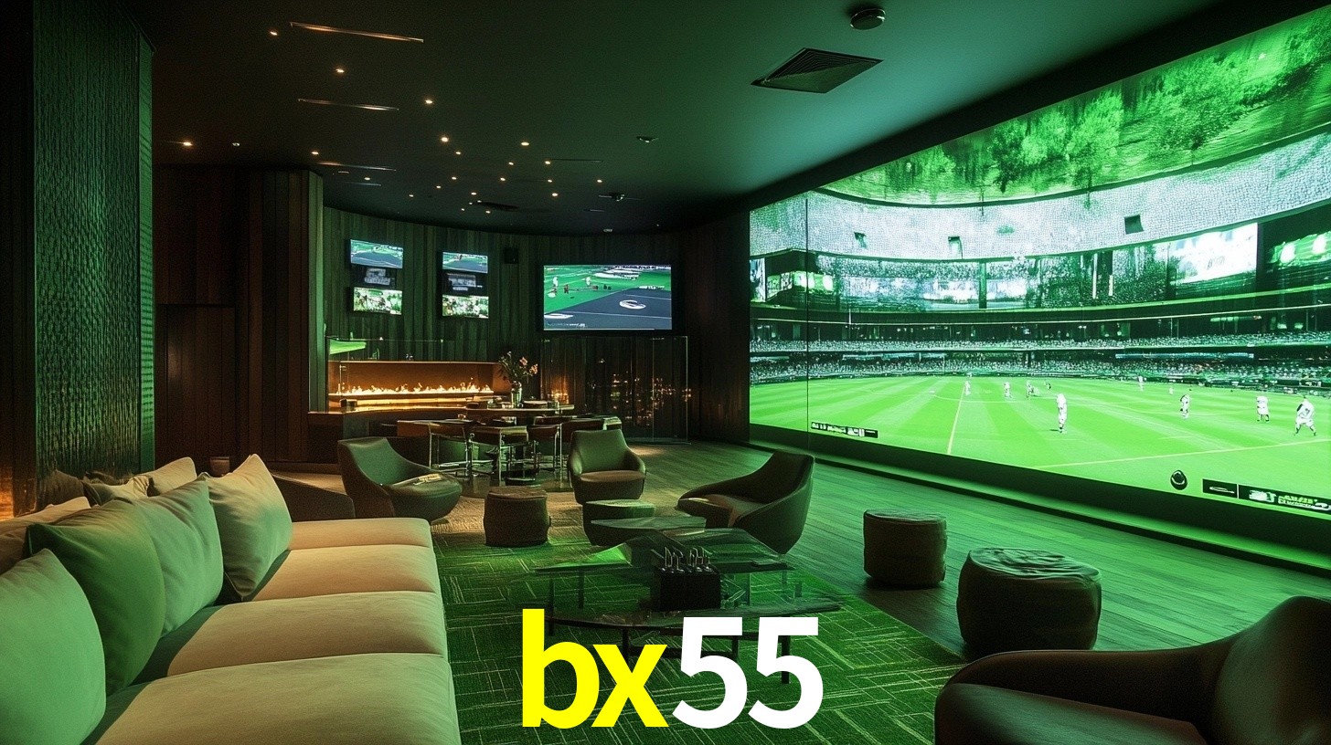 bx55.com